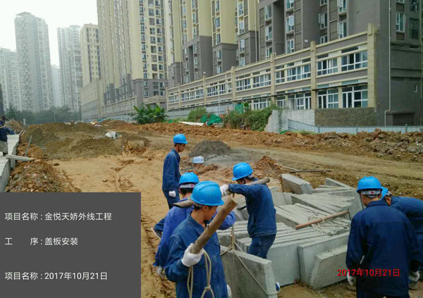 香港内部正版资料免费