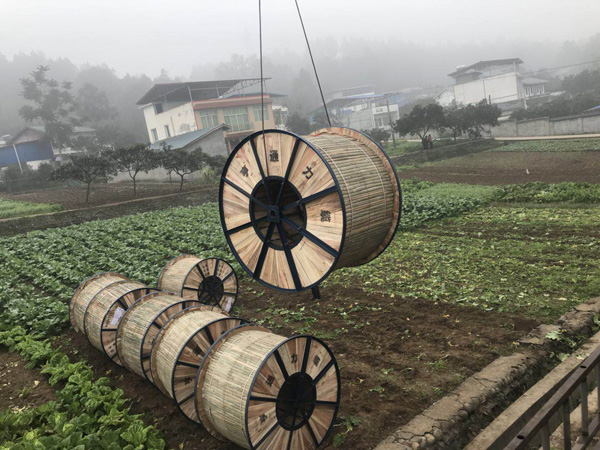 香港内部正版资料免费
