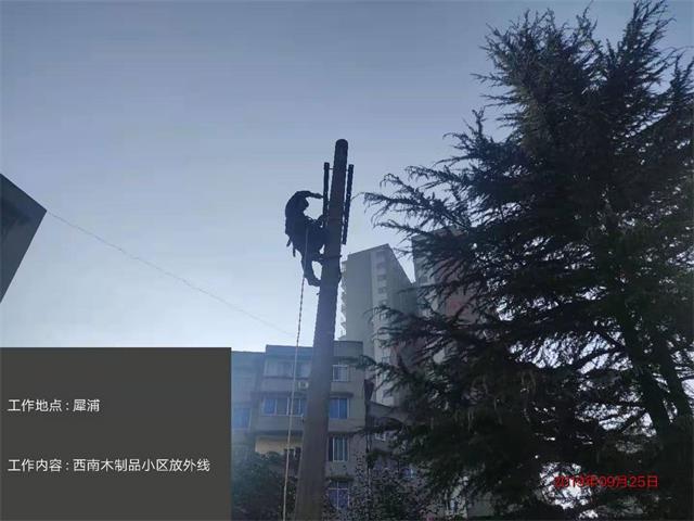 香港内部正版资料免费